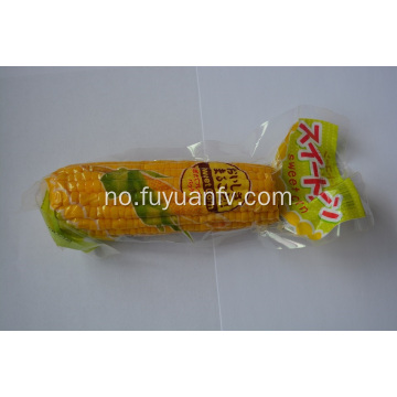 Sweet Corn i Jilin